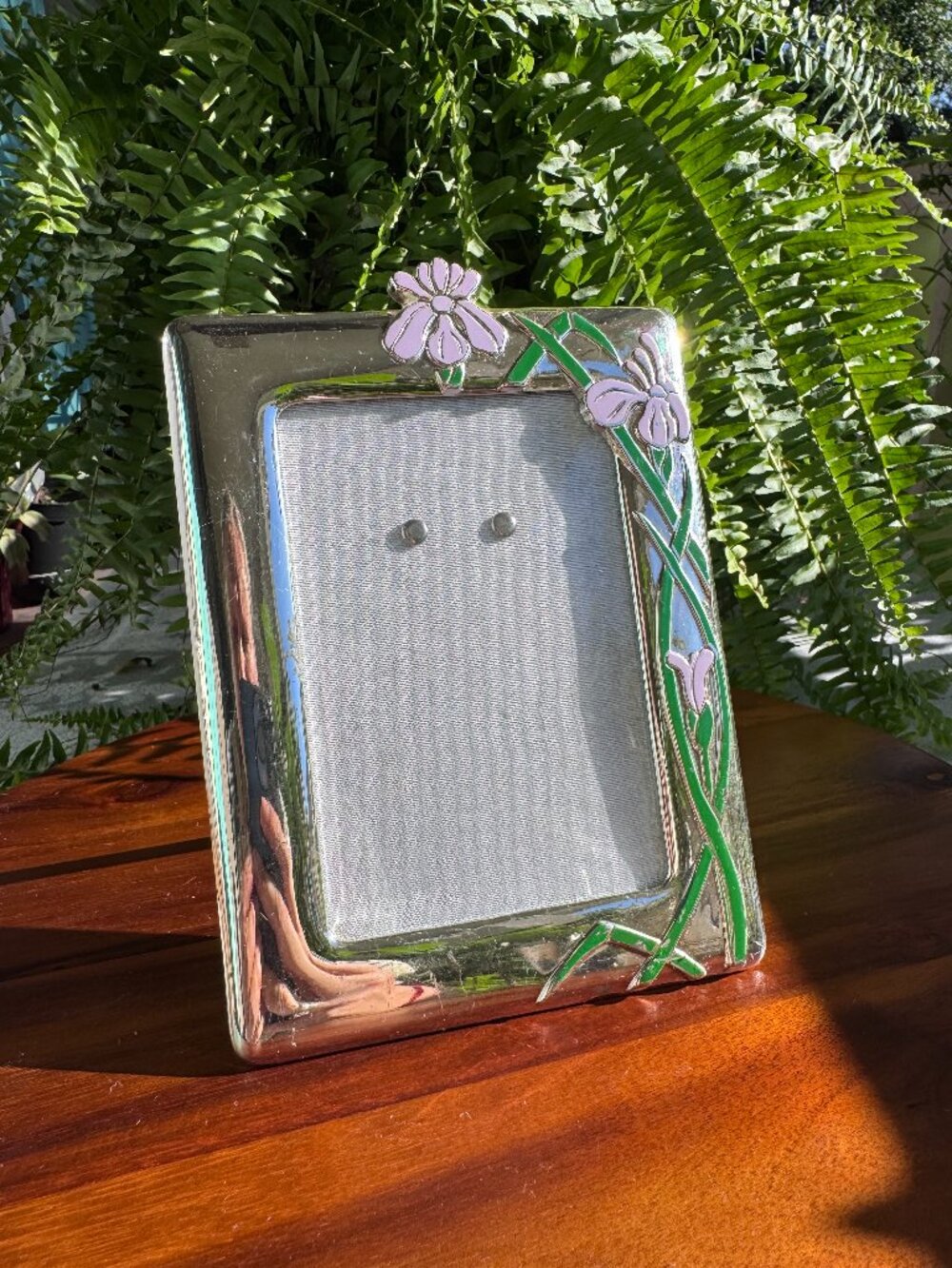 Vintage Art Nouveau 5x7 Picture Frame with Enamel Iris Design
